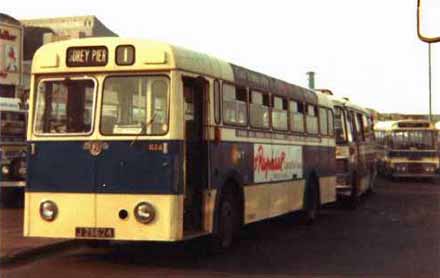 Massey Leyland Tiger Cub JMT